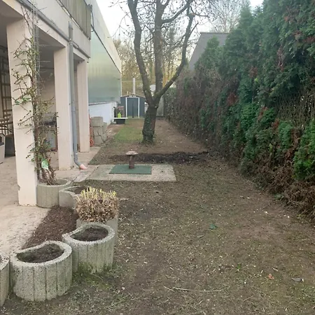 With Friends 1 * Trier