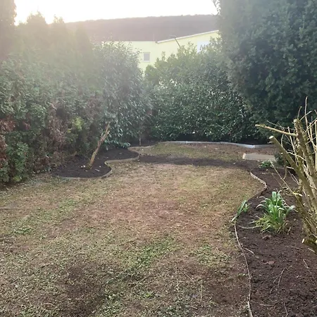 Lägenhet With Friends 1