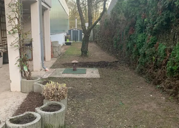 With Friends 1 * Trier